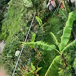 Bavaria