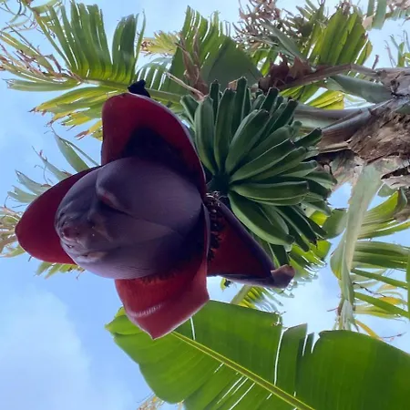 Apartman Bavaria Ponta do Sol