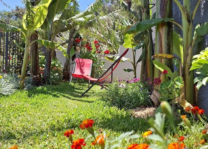 Bavaria Ponta do Sol