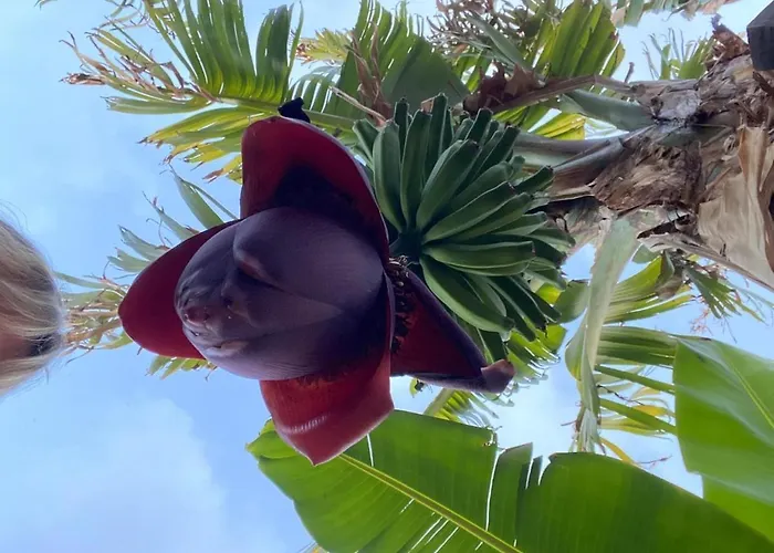 Apartman Bavaria Ponta do Sol